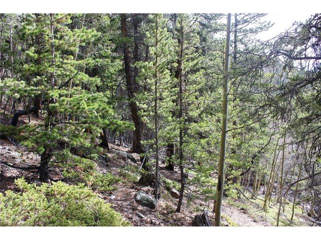 4 Lamertine Rd, Idaho Springs, CO 80452