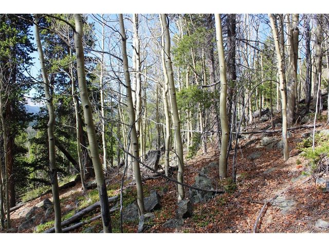 4 Lamertine Rd, Idaho Springs, CO 80452