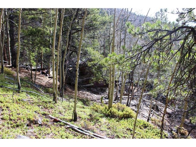 4 Lamertine Rd, Idaho Springs, CO 80452