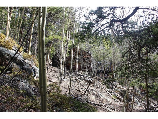 4 Lamertine Rd, Idaho Springs, CO 80452