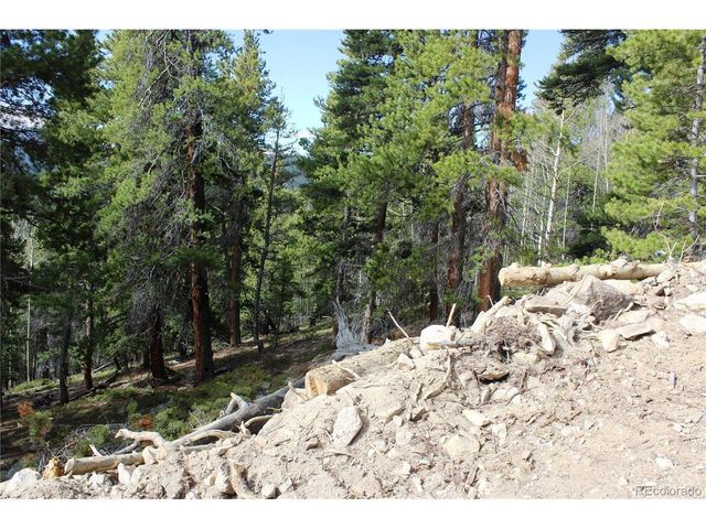 4 Lamertine Rd, Idaho Springs, CO 80452