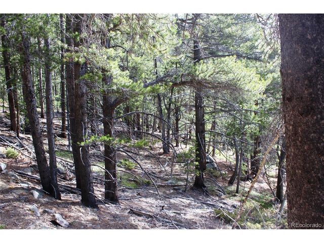 4 Lamertine Rd, Idaho Springs, CO 80452