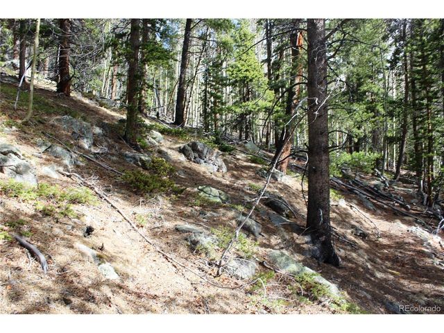 4 Lamertine Rd, Idaho Springs, CO 80452