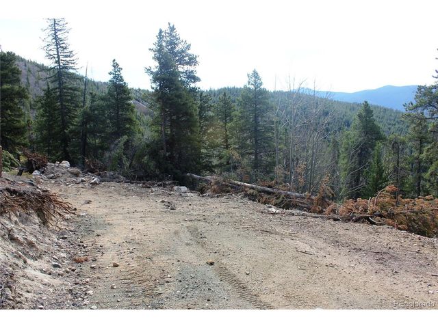 4 Lamertine Rd, Idaho Springs, CO 80452
