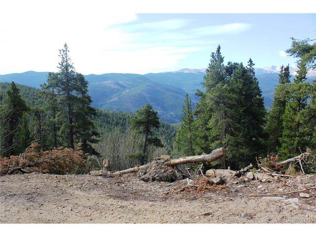 4 Lamertine Rd, Idaho Springs, CO 80452