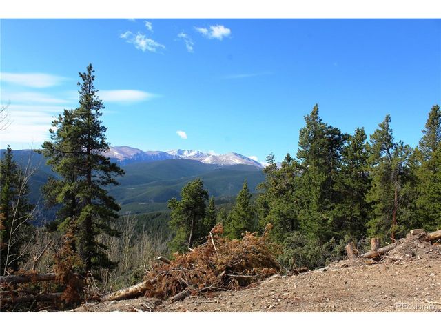 4 Lamertine Rd, Idaho Springs, CO 80452