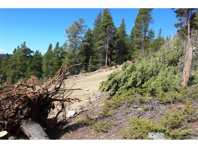 4 Lamertine Rd, Idaho Springs, CO 80452