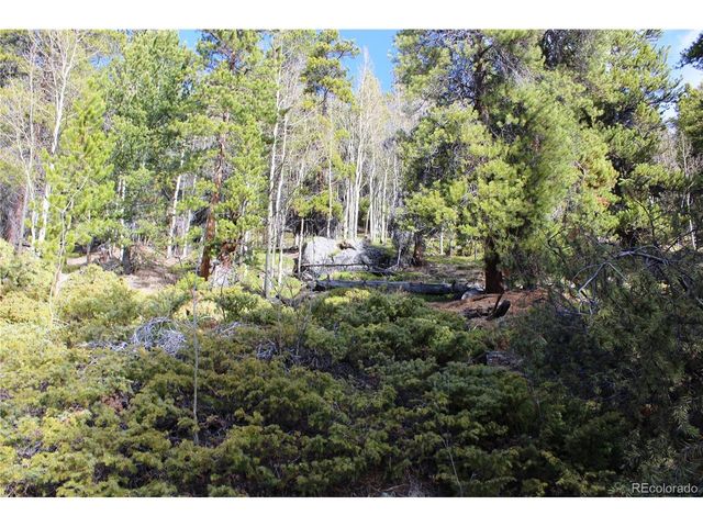 4 Lamertine Rd, Idaho Springs, CO 80452