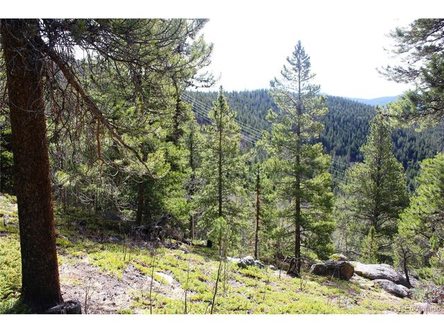 4 Lamertine Rd, Idaho Springs, CO 80452