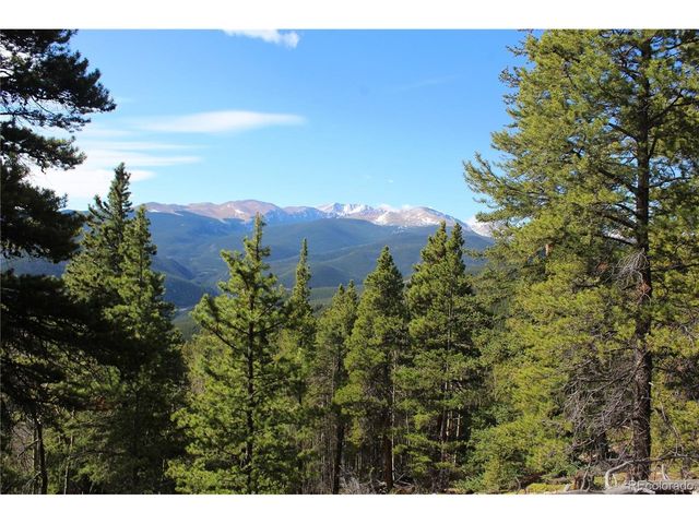 4 Lamertine Rd, Idaho Springs, CO 80452