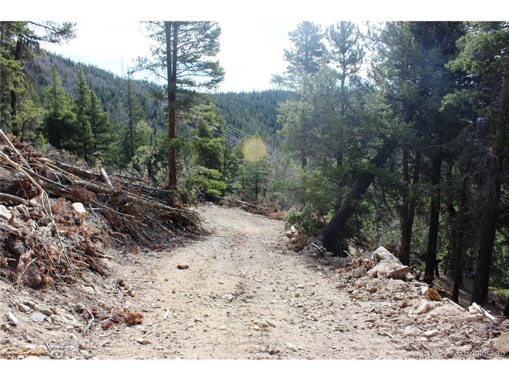 4 Lamertine Rd, Idaho Springs, CO 80452