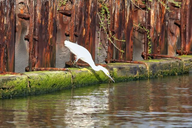 2028 County Road 201, Sargent, TX 77414