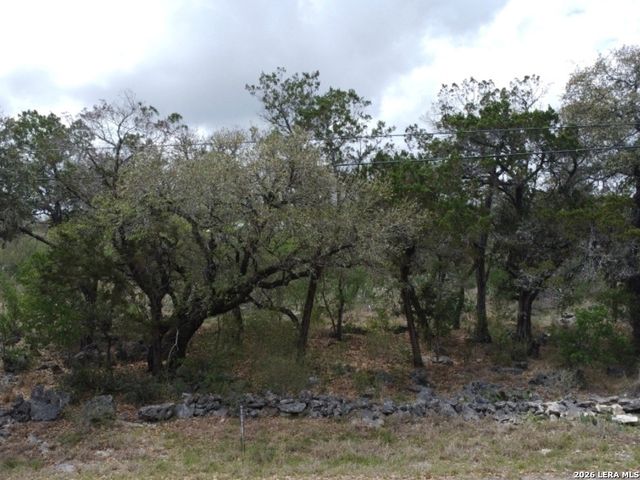 0 Tbd, Spring Branch, TX 78070