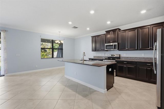 13917 ROSEATE TERN LANE, Riverview, FL 33579