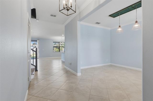 13917 ROSEATE TERN LANE, Riverview, FL 33579
