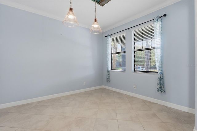 13917 ROSEATE TERN LANE, Riverview, FL 33579