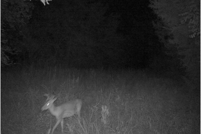 TBD County Road 314, Terrell, TX 75161