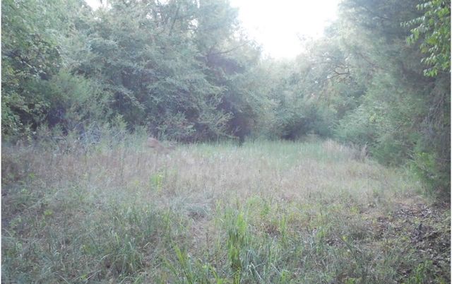 TBD County Road 314, Terrell, TX 75161