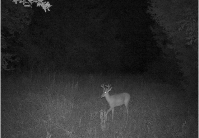 TBD County Road 314, Terrell, TX 75161