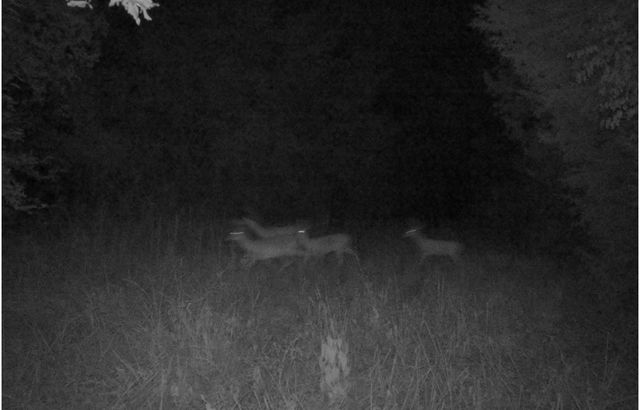 TBD County Road 314, Terrell, TX 75161