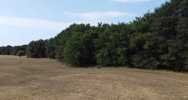 TBD County Road 314, Terrell, TX 75161