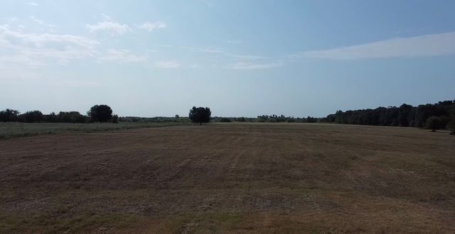 TBD County Road 314, Terrell, TX 75161