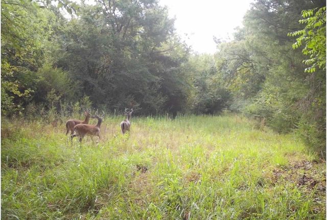 TBD County Road 314, Terrell, TX 75161