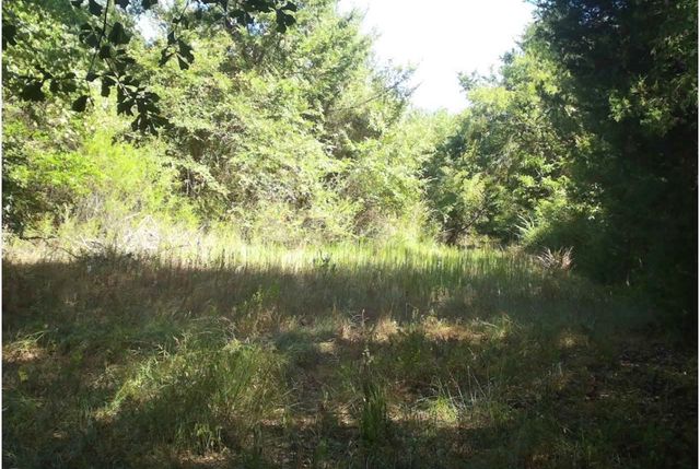 TBD County Road 314, Terrell, TX 75161