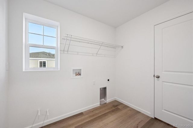 5430 Brangus Drive, Windsor, CO 80528
