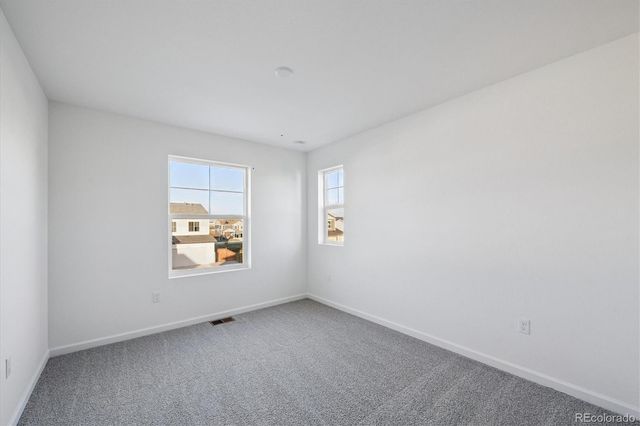 5430 Brangus Drive, Windsor, CO 80528