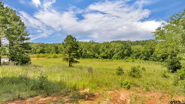 17273 Stella Maris Street, Winona, TX 75792