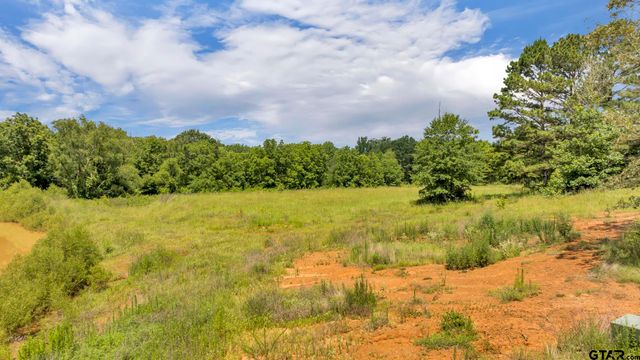 17273 Stella Maris Street, Winona, TX 75792