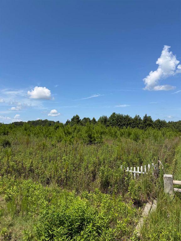 175 Dove Rd., Loris, SC 29569 — exterior