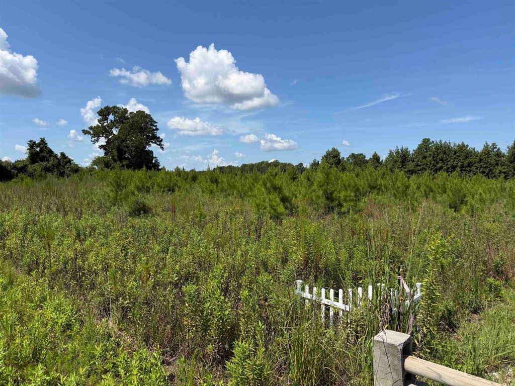 175 Dove Rd., Loris, SC 29569 — photo 3