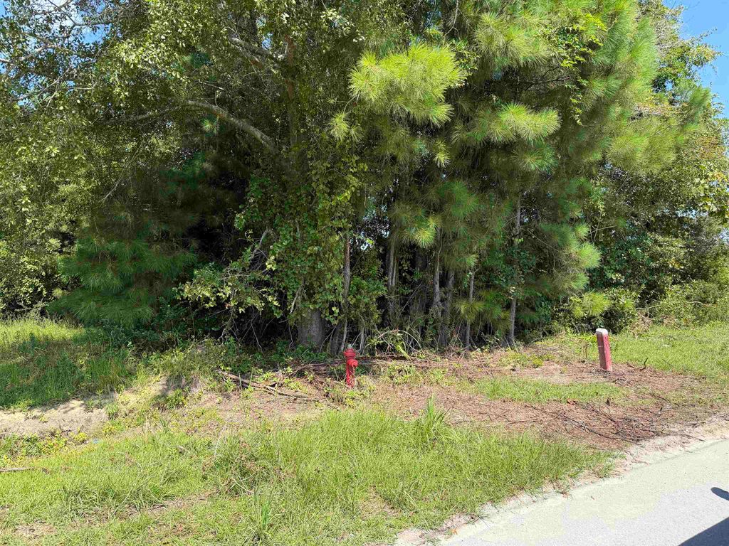 175 Dove Rd., Loris, SC 29569 — photo 4