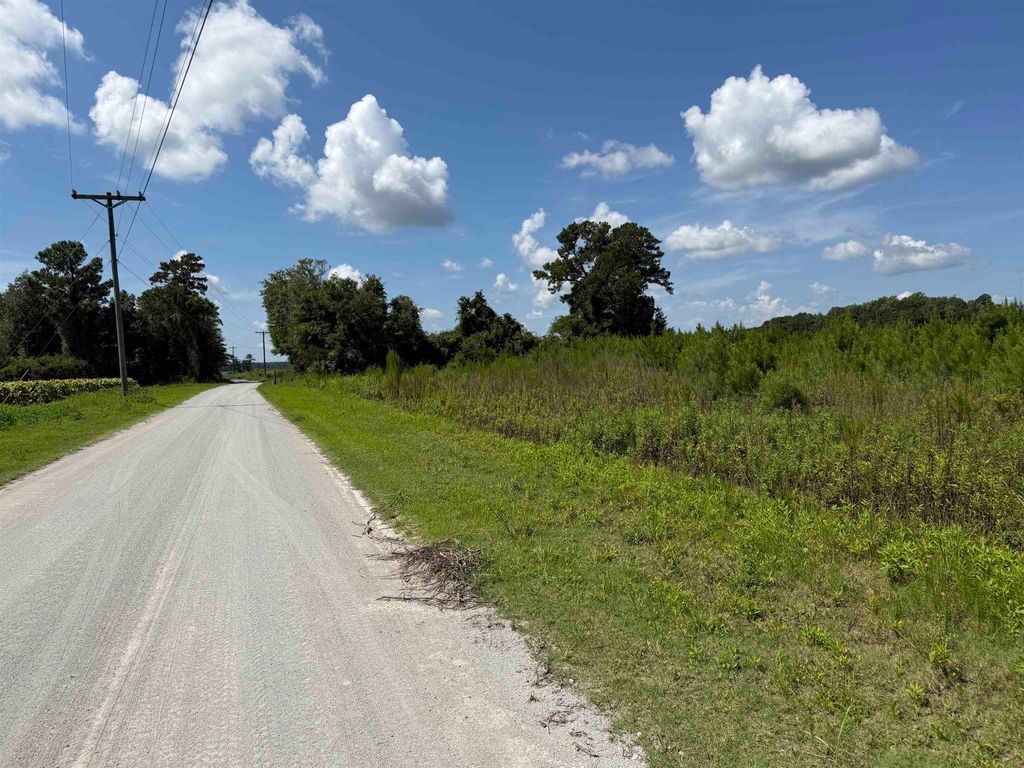 175 Dove Rd., Loris, SC 29569 — photo 5