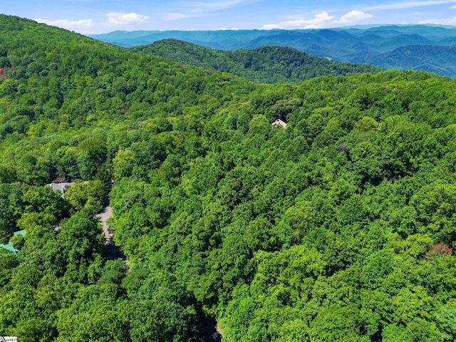 164 Catnip Trail, Landrum, SC 29356
