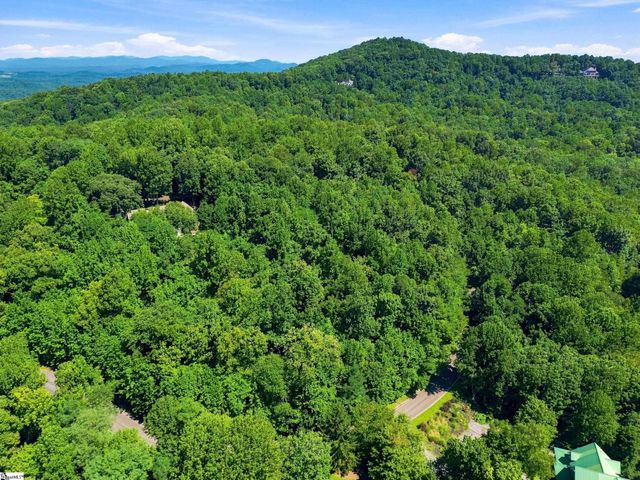 164 Catnip Trail, Landrum, SC 29356