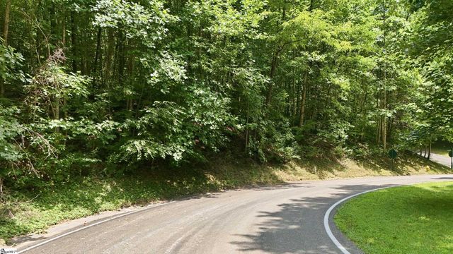 164 Catnip Trail, Landrum, SC 29356