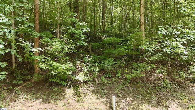 164 Catnip Trail, Landrum, SC 29356