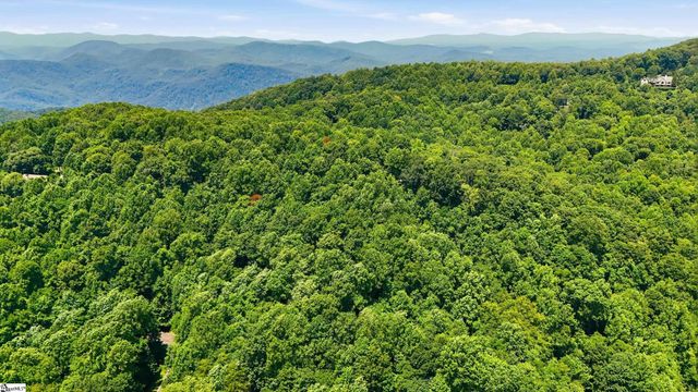 164 Catnip Trail, Landrum, SC 29356