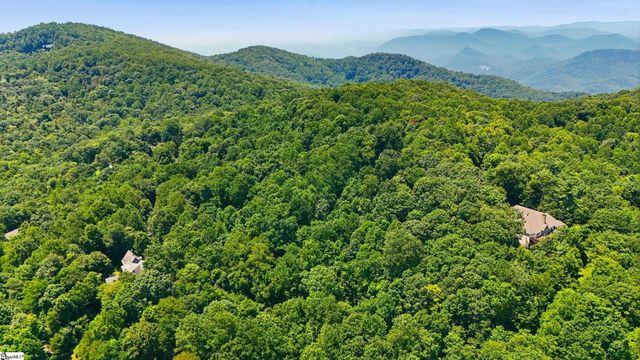 164 Catnip Trail, Landrum, SC 29356