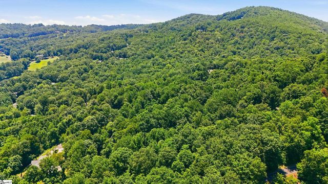 164 Catnip Trail, Landrum, SC 29356