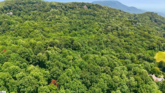 164 Catnip Trail, Landrum, SC 29356