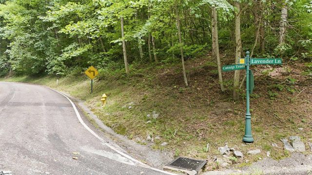 164 Catnip Trail, Landrum, SC 29356