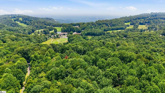 164 Catnip Trail, Landrum, SC 29356