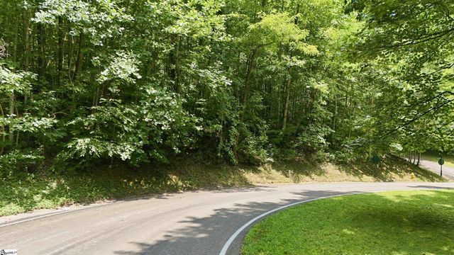 164 Catnip Trail, Landrum, SC 29356