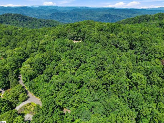 164 Catnip Trail, Landrum, SC 29356
