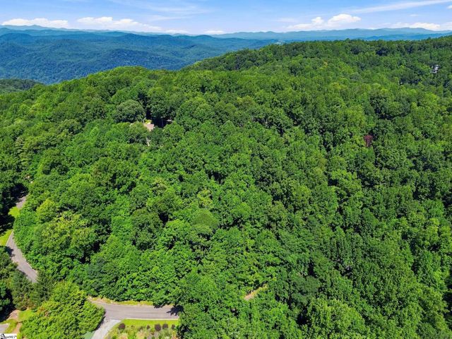 164 Catnip Trail, Landrum, SC 29356