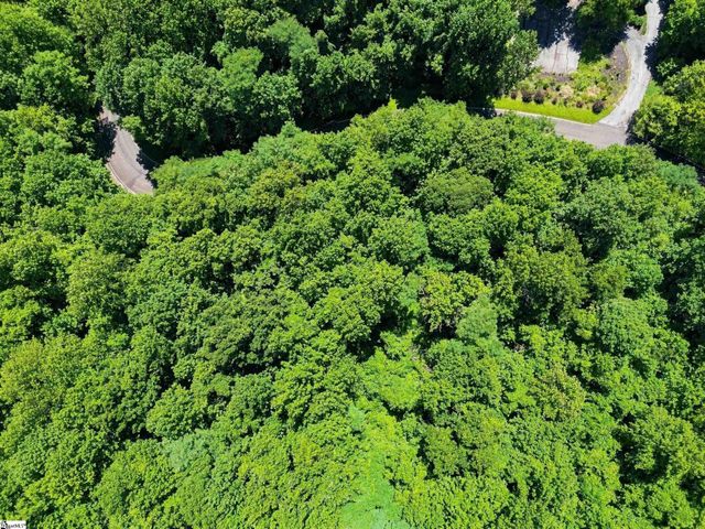 164 Catnip Trail, Landrum, SC 29356
